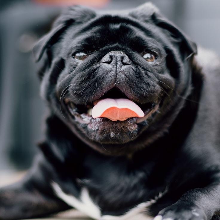 Avery Chen, Lead Design Curator at Lumi Vertical, reviewing corporate floral arrangements